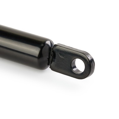 Gasfeder, Koffer-/Laderaum RIDEX 219G1087 219G1087 - foto 6