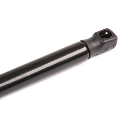 Gasfeder, Koffer-/Laderaum RIDEX 219G0190 219G0190 - foto 6