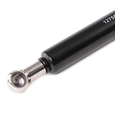 Gasfeder, Koffer-/Laderaum RIDEX 219G0842 219G0842 - foto 4