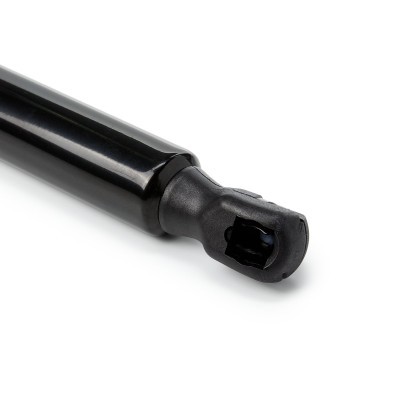 Gasfeder, Koffer-/Laderaum RIDEX 219G1957 219G1957 - foto 5