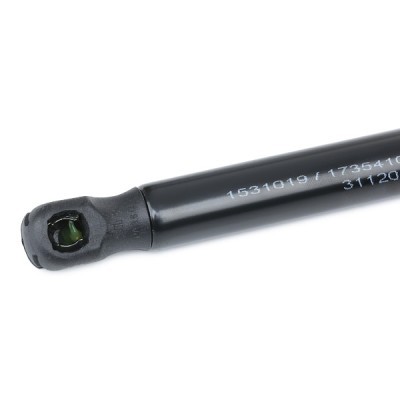 Gasfeder, Koffer-/Laderaum RIDEX 219G1055 219G1055 - foto 5