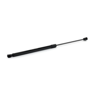 Gasfeder, Koffer-/Laderaum RIDEX 219G1566 219G1566 - foto 3