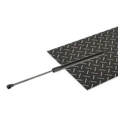 Gasfeder, Koffer-/Laderaum RIDEX 219G1113 219G1113 - foto 2