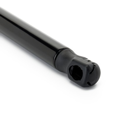 Gasfeder, Koffer-/Laderaum RIDEX 219G1314 219G1314 - foto 5