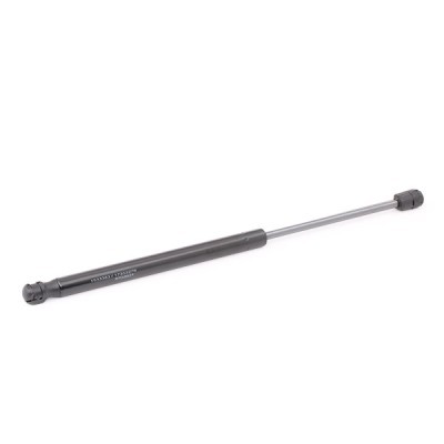 Gasfeder, Koffer-/Laderaum RIDEX 219G1054 219G1054 - foto 4