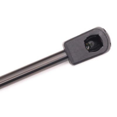 Gasfeder, Koffer-/Laderaum RIDEX 219G0102 219G0102 - foto 5