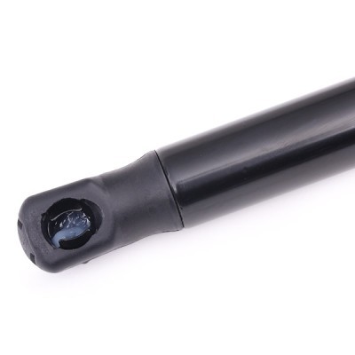 Gasfeder, Koffer-/Laderaum RIDEX 219G0620 219G0620 - foto 4