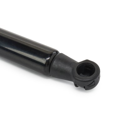 Gasfeder, Koffer-/Laderaum RIDEX 219G0234 219G0234 - foto 7