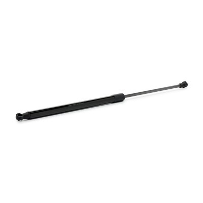 Gasfeder, Koffer-/Laderaum RIDEX 219G1187 219G1187 - foto 3