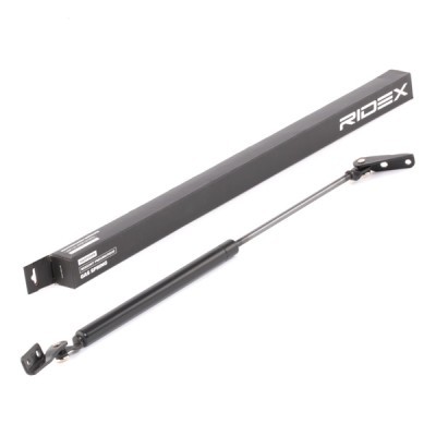 Gasfeder, Koffer-/Laderaum RIDEX 219G0602 219G0602 - foto 3