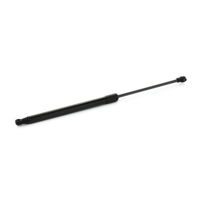 Gasfeder, Koffer-/Laderaum RIDEX 219G1094 219G1094 - foto 4