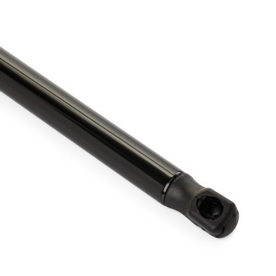 Gasfeder, Koffer-/Laderaum RIDEX 219G1167 219G1167 - foto 5