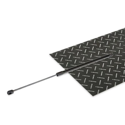 Gasfeder, Koffer-/Laderaum RIDEX 219G1148 219G1148 - foto 2