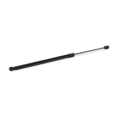Gasfeder, Koffer-/Laderaum RIDEX 219G1098 219G1098 - foto 4