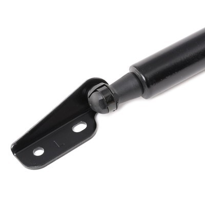 Gasfeder, Koffer-/Laderaum RIDEX 219G0846 219G0846 - foto 4