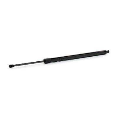 Gasfeder, Koffer-/Laderaum RIDEX 219G1293 219G1293 - foto 2