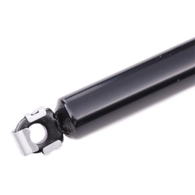 Gasfeder, Koffer-/Laderaum RIDEX 219G0295 219G0295 - foto 4