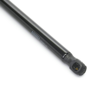 Gasfeder, Koffer-/Laderaum RIDEX 219G1258 219G1258 - foto 5