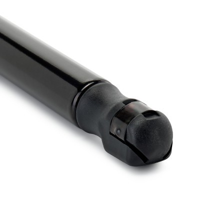 Gasfeder, Koffer-/Laderaum RIDEX 219G1211 219G1211 - foto 5