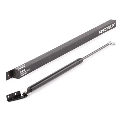 Gasfeder, Koffer-/Laderaum RIDEX 219G0582 219G0582 - foto 2