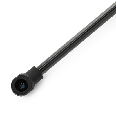 Gasfeder, Koffer-/Laderaum RIDEX 219G1094 219G1094 - foto 5