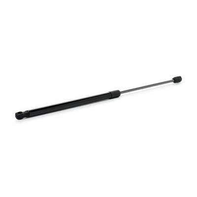 Gasfeder, Koffer-/Laderaum RIDEX 219G1383 219G1383 - foto 3