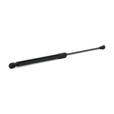 Gasfeder, Koffer-/Laderaum RIDEX 219G1422 219G1422 - foto 3