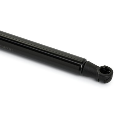 Gasfeder, Koffer-/Laderaum RIDEX 219G1169 219G1169 - foto 5