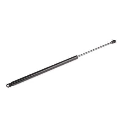 Gasfeder, Koffer-/Laderaum RIDEX 219G0294 219G0294 - foto 3