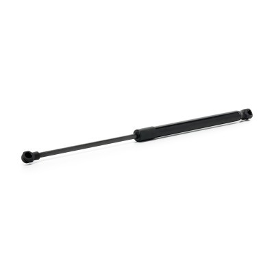 Gasfeder, Koffer-/Laderaum RIDEX 219G1422 219G1422 - foto 2