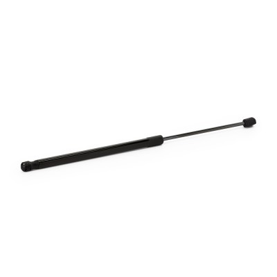 Gasfeder, Koffer-/Laderaum RIDEX 219G1256 219G1256 - foto 3