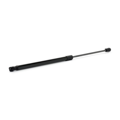 Gasfeder, Koffer-/Laderaum RIDEX 219G1226 219G1226 - foto 3