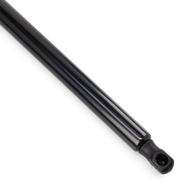 Gasfeder, Koffer-/Laderaum RIDEX 219G1474 219G1474 - foto 5
