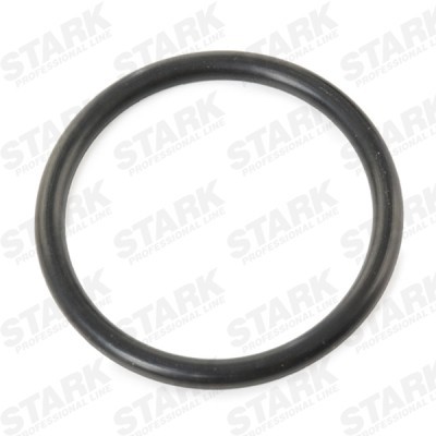 Kraftstofffilter Stark SKFF-0870031 SKFF-0870031 - foto 5