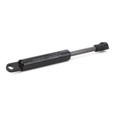 Gasfeder, Koffer-/Laderaum RIDEX 219G0670 219G0670 - foto 3