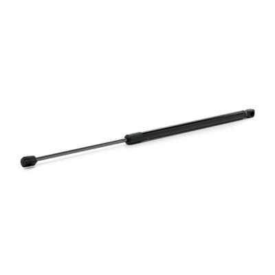 Gasfeder, Koffer-/Laderaum RIDEX 219G1383 219G1383 - foto 2