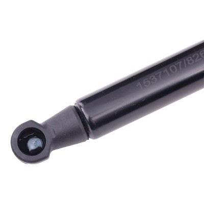 Gasfeder, Koffer-/Laderaum RIDEX 219G0388 219G0388 - foto 5