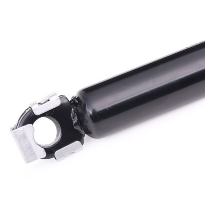 Gasfeder, Koffer-/Laderaum RIDEX 219G0292 219G0292 - foto 4