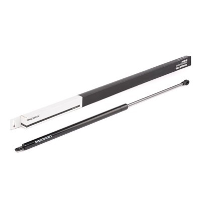 Gasfeder, Koffer-/Laderaum RIDEX 219G0294 219G0294 - foto 2