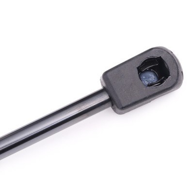 Gasfeder, Koffer-/Laderaum RIDEX 219G0429 219G0429 - foto 5