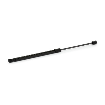 Gasfeder, Koffer-/Laderaum RIDEX 219G1353 219G1353 - foto 3