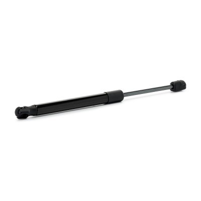 Gasfeder, Koffer-/Laderaum RIDEX 219G1495 219G1495 - foto 3