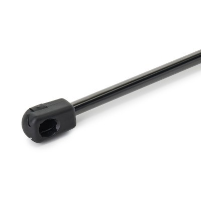 Gasfeder, Koffer-/Laderaum RIDEX 219G1325 219G1325 - foto 4