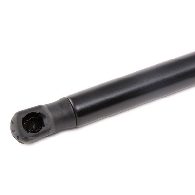 Gasfeder, Koffer-/Laderaum RIDEX 219G0695 219G0695 - foto 5