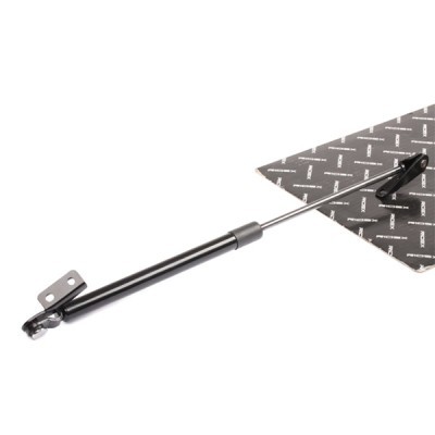 Gasfeder, Koffer-/Laderaum RIDEX 219G0602 219G0602 - foto 2