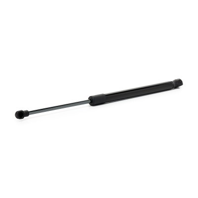 Gasfeder, Koffer-/Laderaum RIDEX 219G1314 219G1314 - foto 2