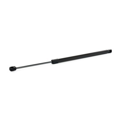 Gasfeder, Koffer-/Laderaum RIDEX 219G1557 219G1557 - foto 2