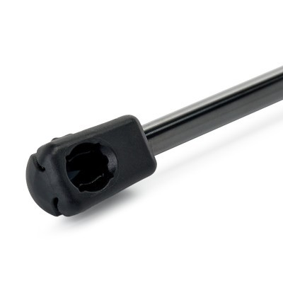 Gasfeder, Koffer-/Laderaum RIDEX 219G1566 219G1566 - foto 4