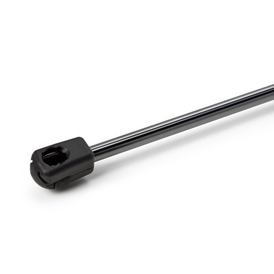 Gasfeder, Koffer-/Laderaum RIDEX 219G1149 219G1149 - foto 5