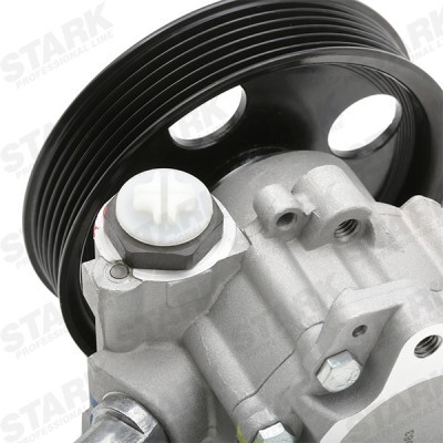 Hydraulikpumpe, Lenkung Stark SKHP-0540079 SKHP-0540079 - foto 7